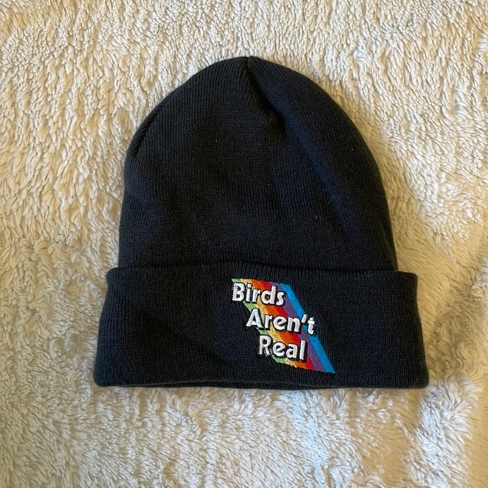 Birds Aren’t Real Beanie